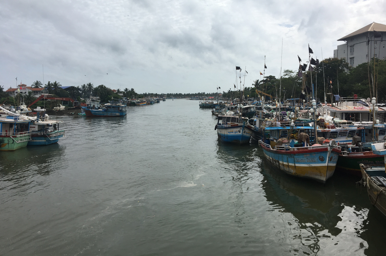 A voir Sri Lanka - Negombo