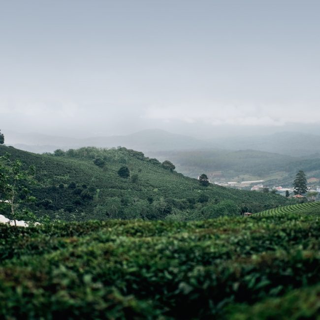 Dalat