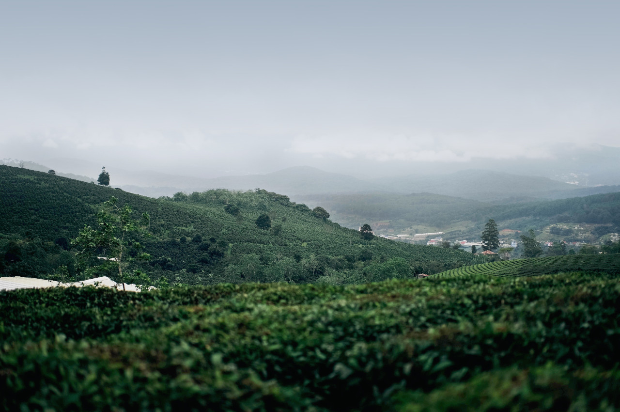 Dalat